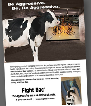 Fight Bac Facebook Advertisement layout by Milwaukee Art Director